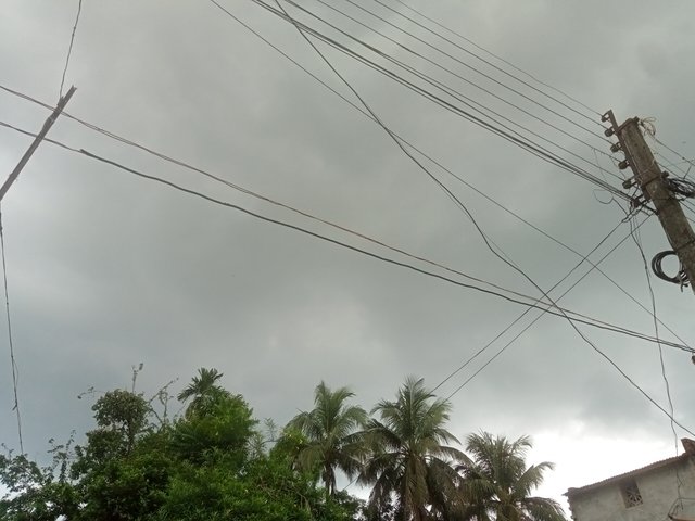 IMG20250629172118.jpg
