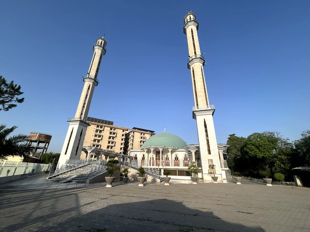 IMG (38).jpg