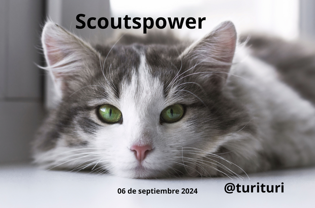 Scoutspower  Turituri (1).png