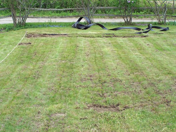 New Herb garden - sod cut, thyme bed cleared, edged, part planted crop May 2016.jpg