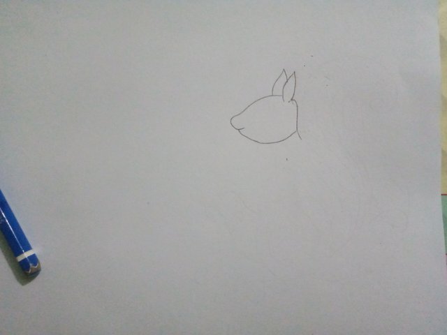 IMG20250715180734.jpg