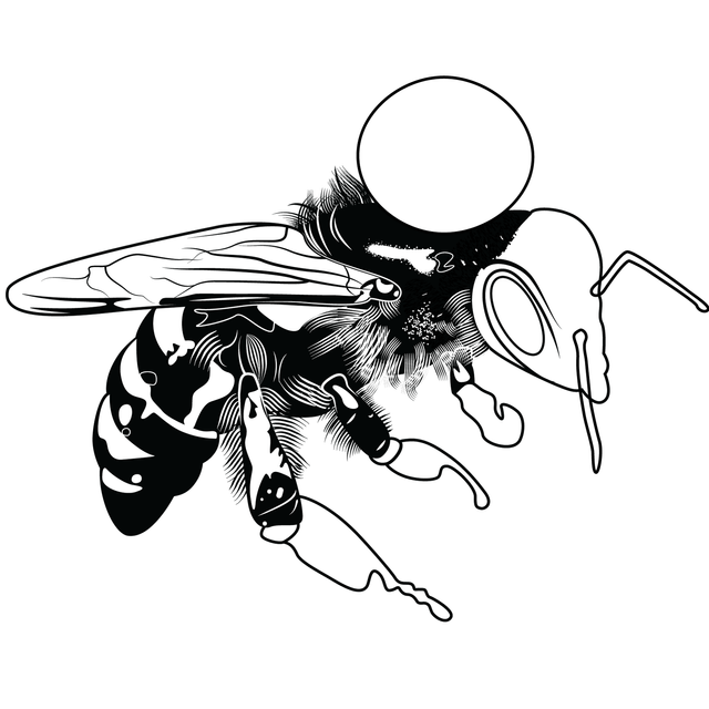 abeja1-muestra.png