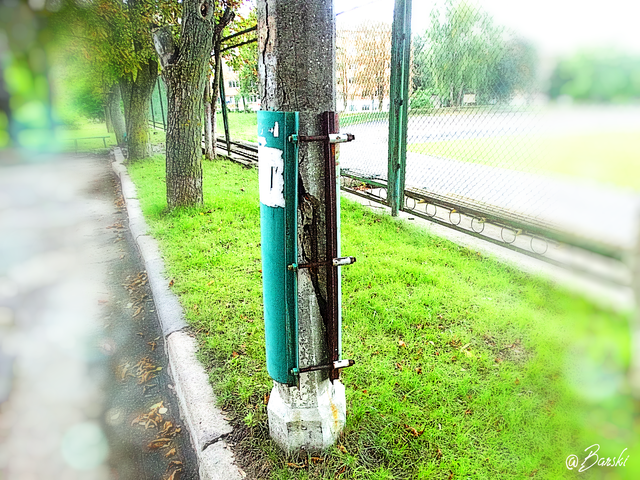 1abDSC09013.png