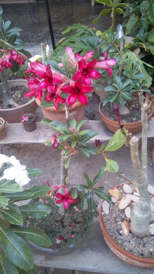 foto4.jpg