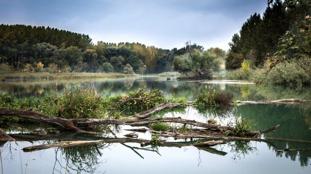 river-danube-reflection-slovakia.jpg