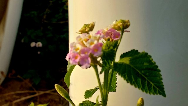 20240927_164551.jpg