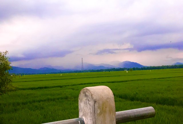 17DB51CA-3A12-4488-B246-0E61C817D797.jpeg