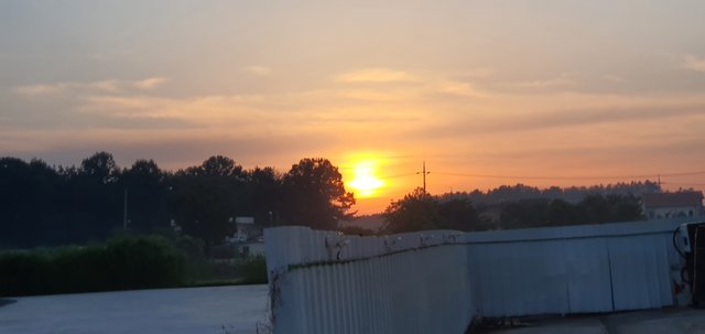 20210601_053837.jpg