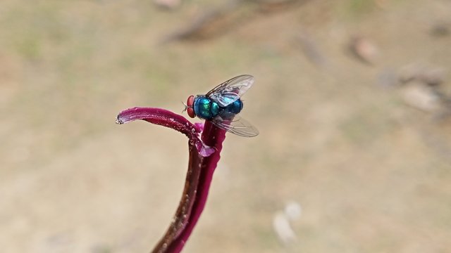 IMG_20250419_123232.jpg