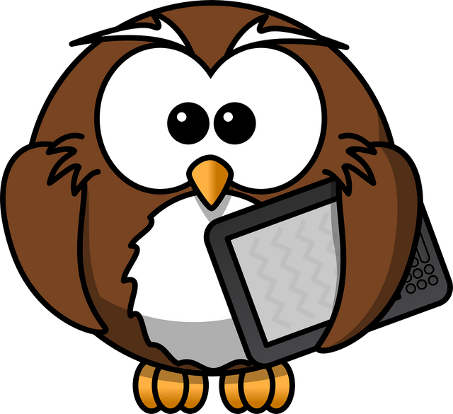 owl-158411_1280.png