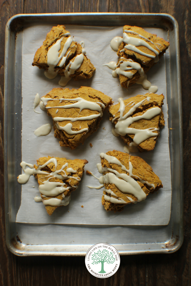 pumpkin scone pin 4.png