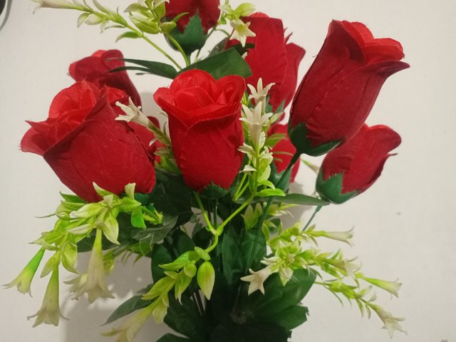 IMG_20231011_173225_936.jpg