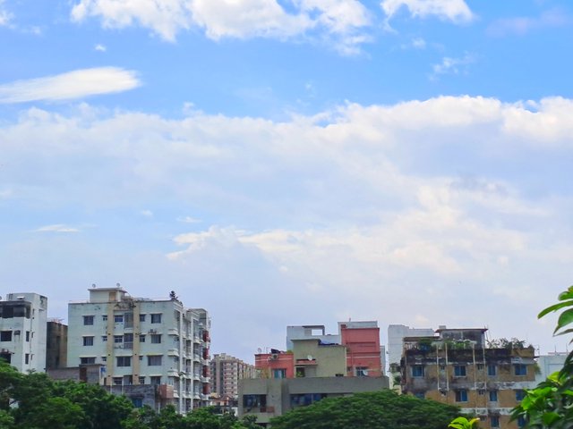 20250713_154611.jpg
