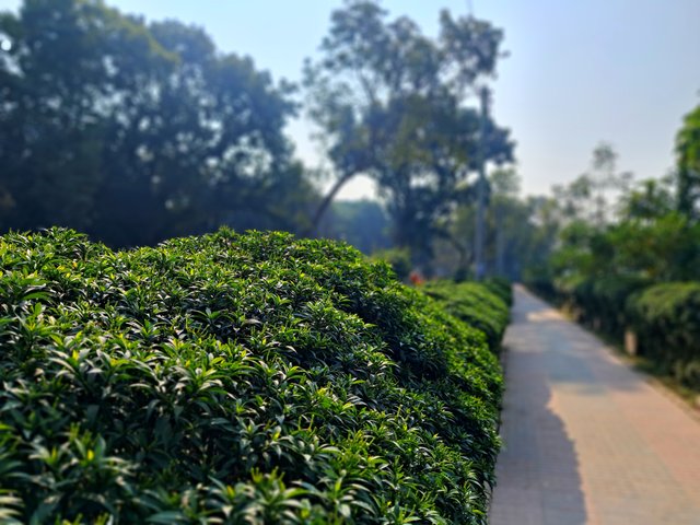 1000010283.jpg