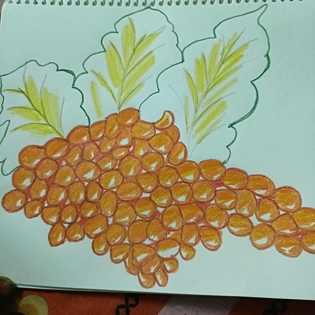 b795e01a-0f0d-43e9-aa3d-8dcba28f82c5.jpeg
