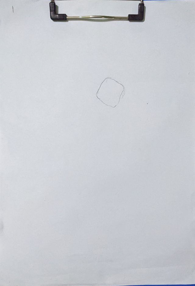 PXL_20230501_110018855.jpg