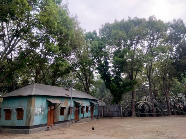 IMG20250320132615.jpg
