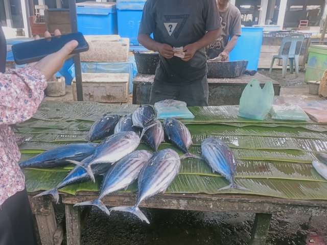 IMG_20250407_145047.jpg