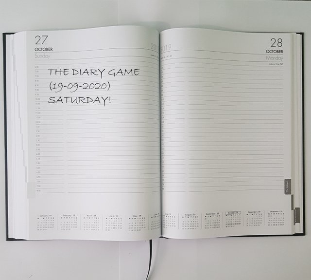 2019-A4-Diary (2).jpg