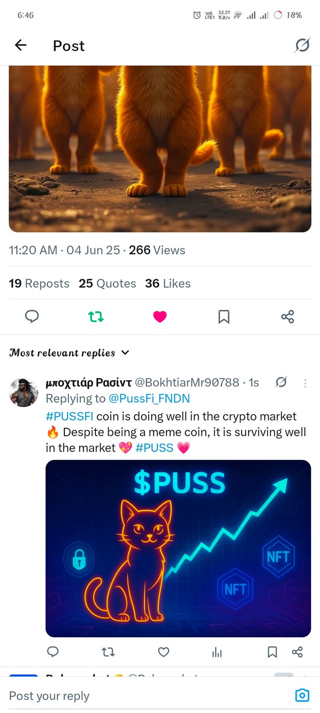 1000094764.jpg