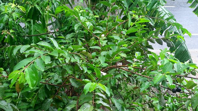 20250602_110028.jpg