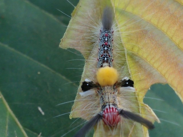 IMG20180606071214.jpg