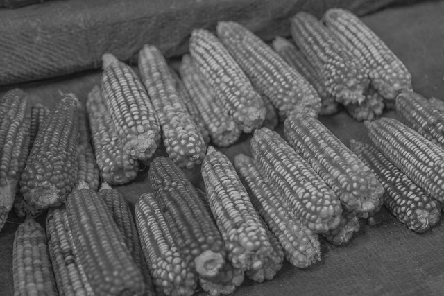 Mercado Taibessi corn 2 bw.jpg