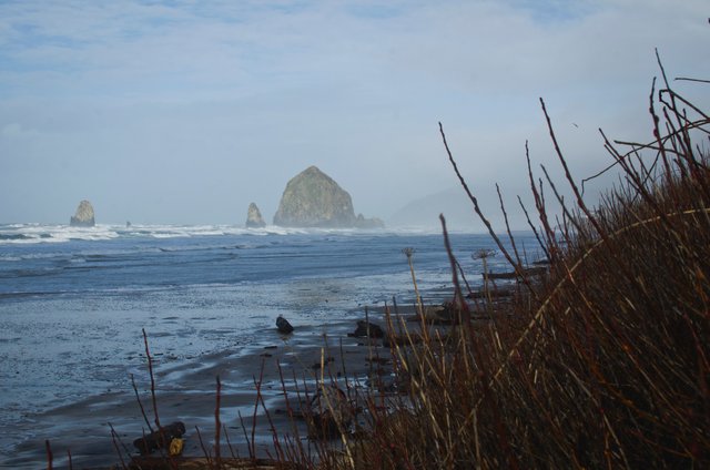 The rock cliffs off the wet oregon coast .JPG