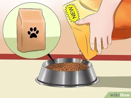 v4-460px-Get-Your-Dog-to-Eat-Dry-Food-Step-6.jpg