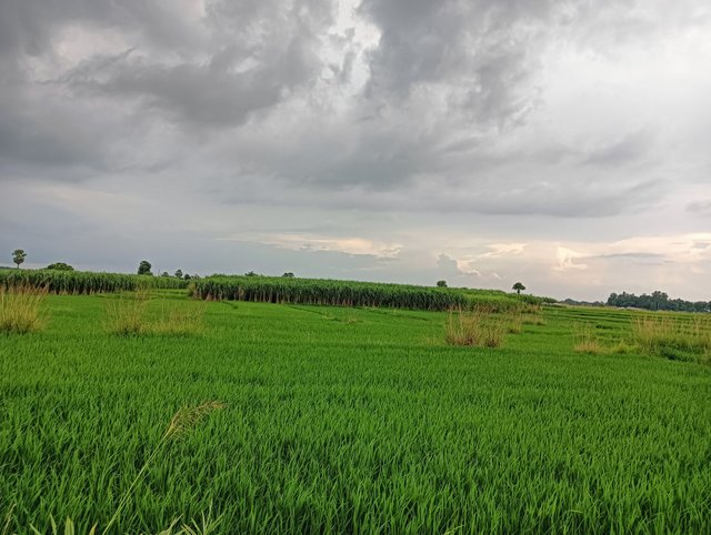 IMG20250904154109.jpg