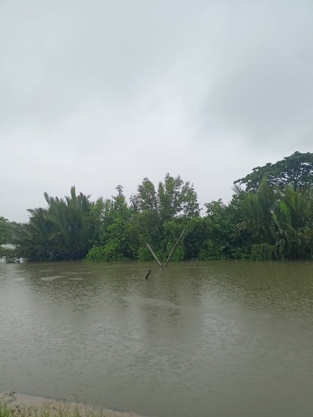 received_1265400978304517.jpeg