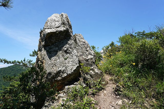 b-DSC08184.JPG