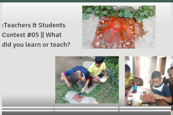 _Teachers & Students Contest #05 __ What did you learn or teach__20241105_081346_0000.png