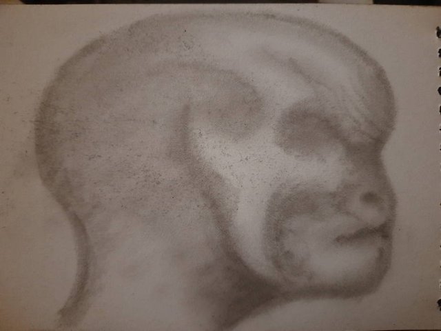 20250812_101937.jpg