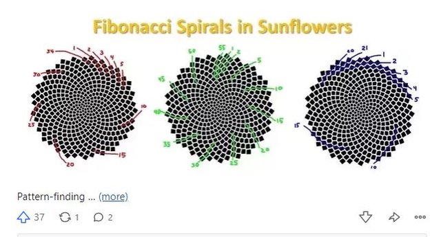 Fibonacci.JPG