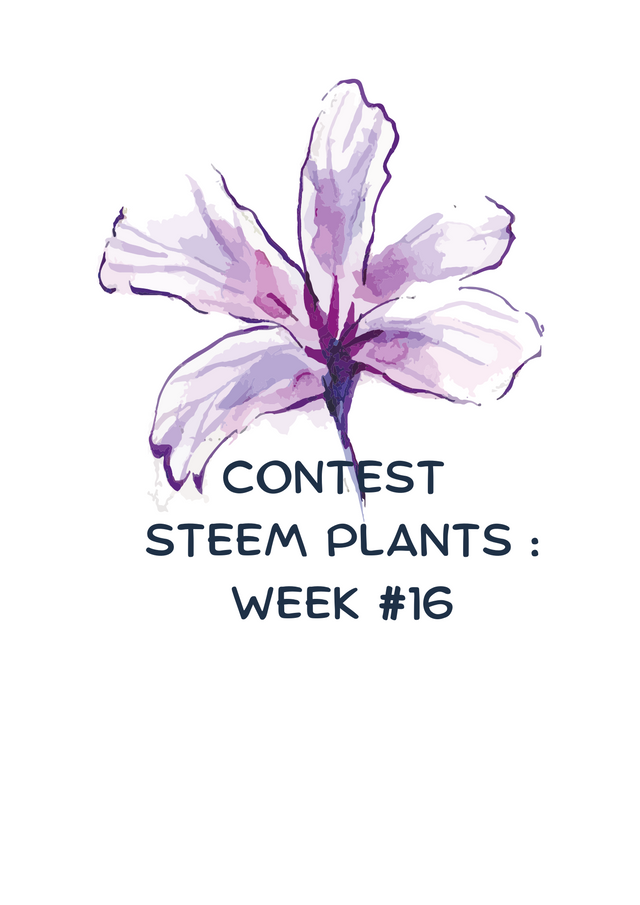 Сontest STEEM PLANTS  Week #16 (1).png