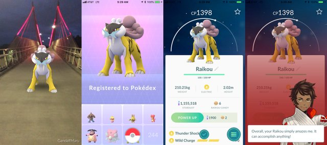 Pokémon Go: 100 IV Raikou - pokemon go post - Imgur