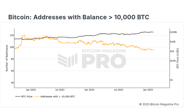 2- BM Pro - Bitcoin Wallet Sizes _ 10,000 BTC.png