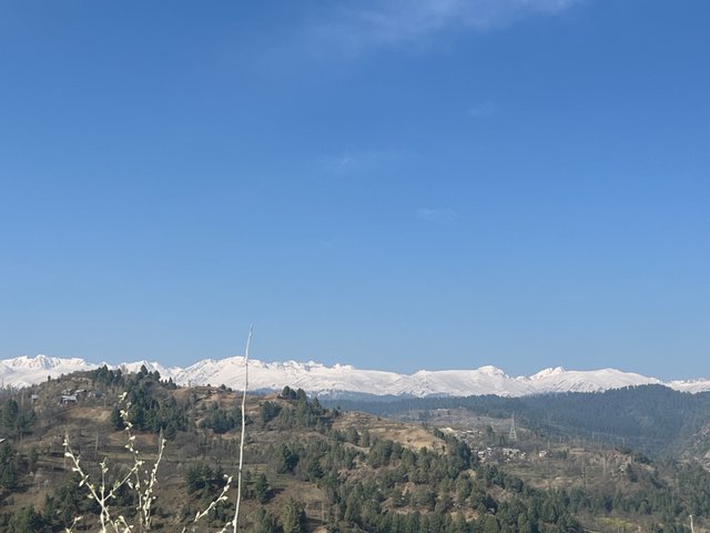 IMG_3090.jpeg