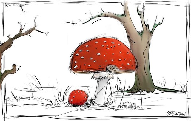 Amanita drawing .jpg