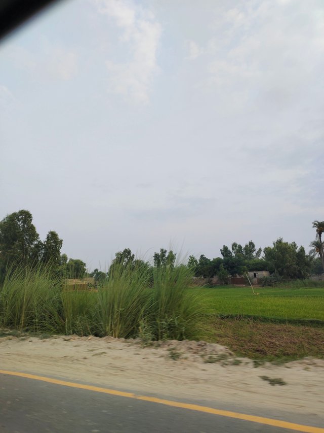 IMG_20250816_064848.jpg