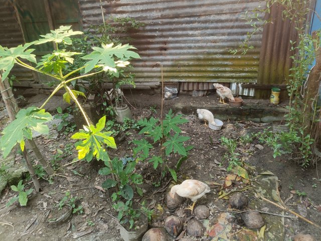 IMG20250608152257.jpg