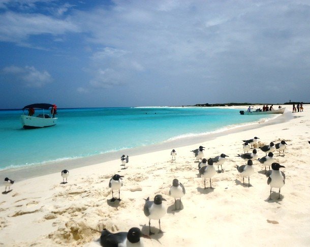 Cayo-de-Agua-Venezuela.jpg