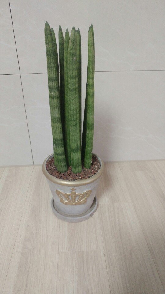 KakaoTalk_20181209_200311847_01.jpg