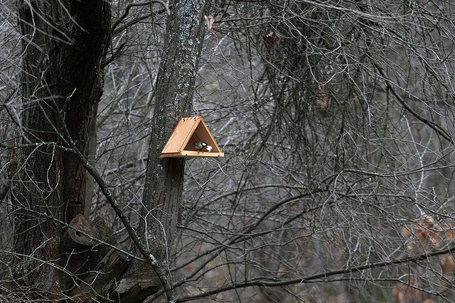 Woodland_Details_007_s.jpg