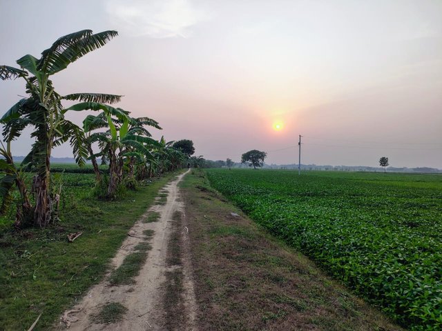 1000203292.jpg