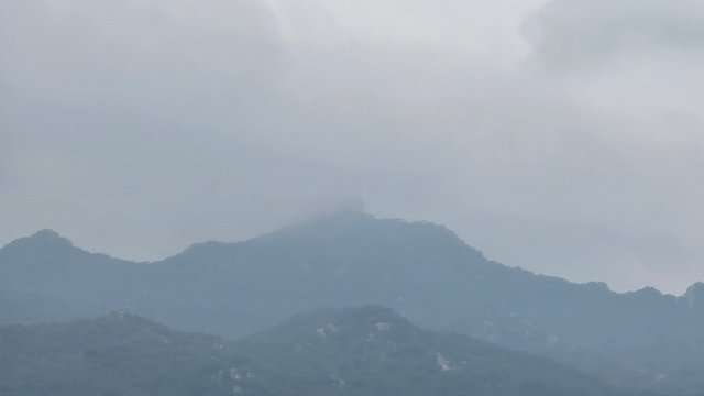 1000128416.jpg