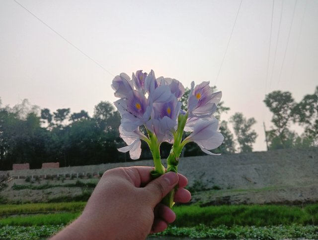 IMG20250401164117.jpg
