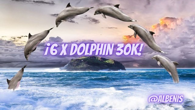 albenis x 6 dolphin.jpg