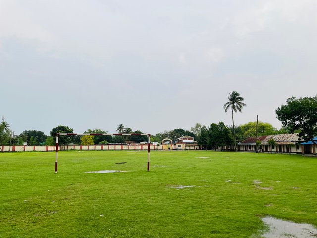 IMG_2836.jpeg
